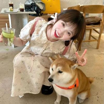 落花飘零